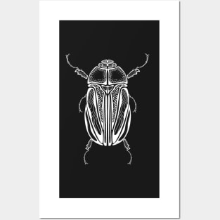 June Beetle Insect Bug Wiinjiig ᐐᓐᒌg Ojibwe Indigenous WAWEZHI CANADA Posters and Art